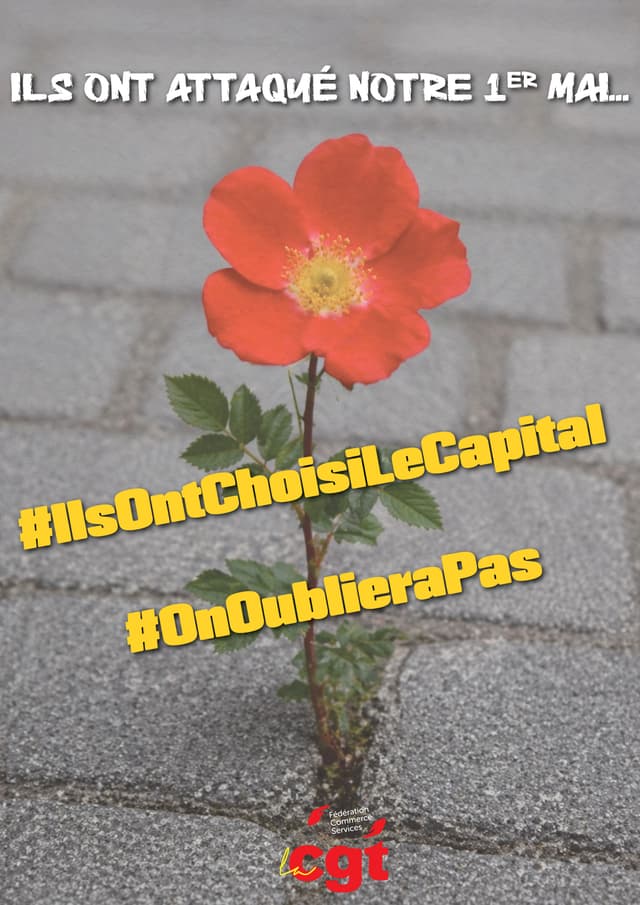 Ils ont choisi le capital